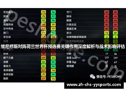 维尼修斯对阵荷兰世界杯预选赛关键作用深度解析与战术影响评估