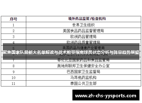 聚焦国家队最新大名单解读与战术前景指南球员状态分析与阵容趋势展望