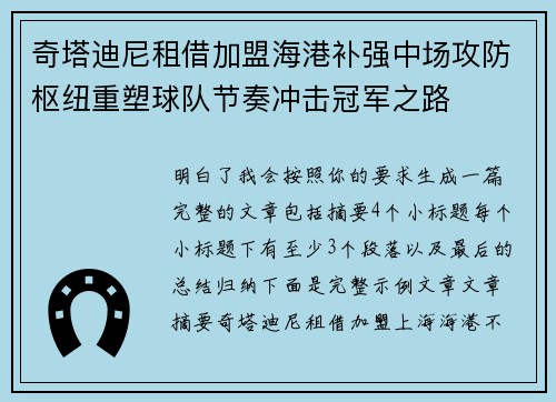 奇塔迪尼租借加盟海港补强中场攻防枢纽重塑球队节奏冲击冠军之路